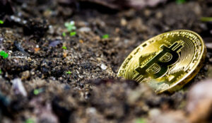 Moeda de Bitcoin sobre a terra.